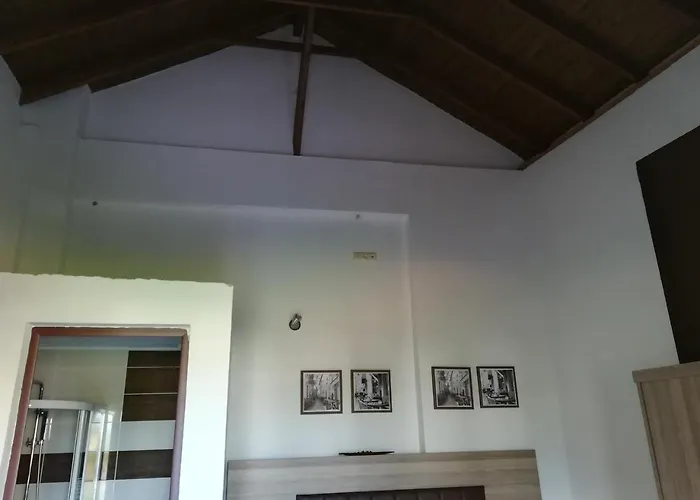 Palmyra * 斯塔夫罗斯